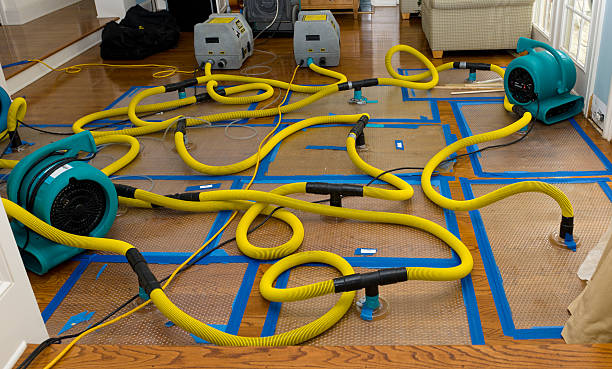 Professional Water Damage Restoration technician working in Elkhart, TX